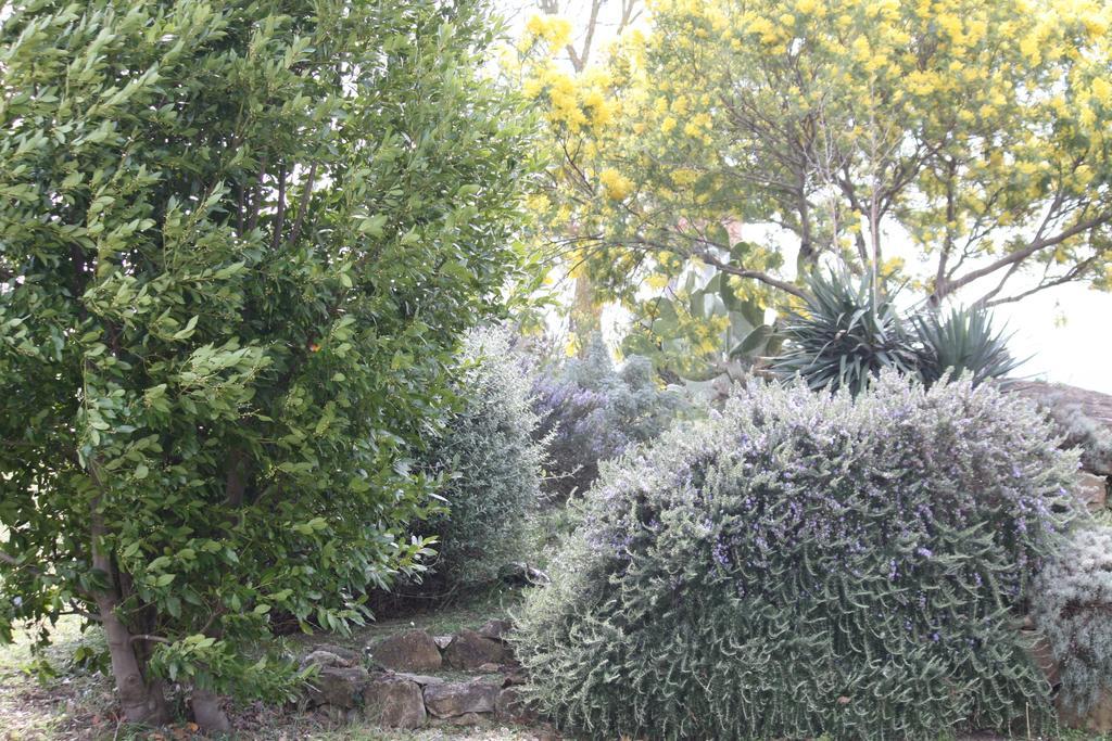סקאנסאנו Agriturismo Podere Verdicchio מראה חיצוני תמונה