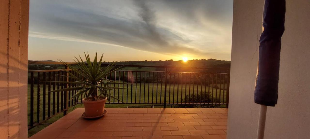 סקאנסאנו Agriturismo Podere Verdicchio מראה חיצוני תמונה