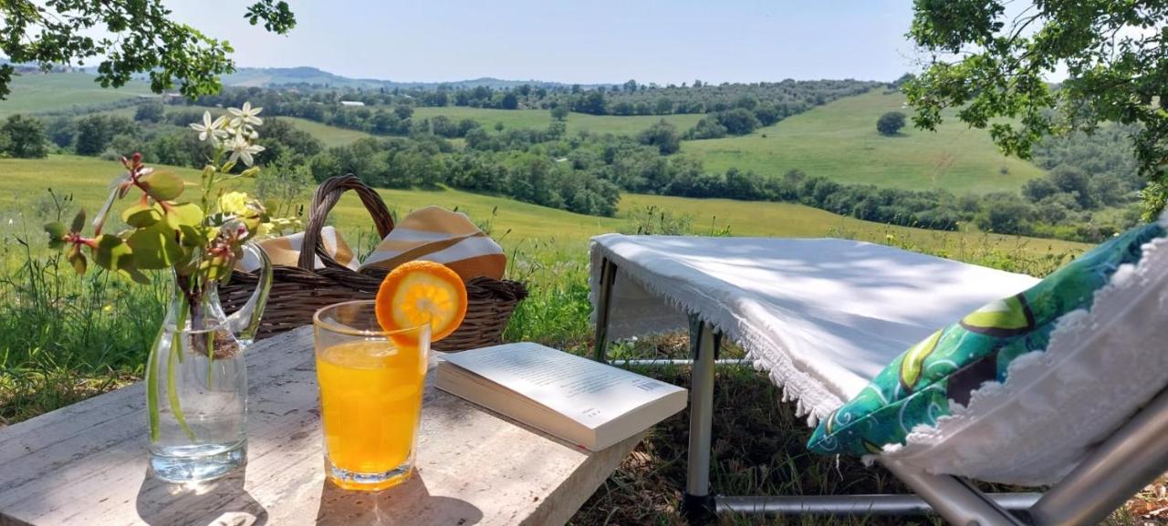 סקאנסאנו Agriturismo Podere Verdicchio מראה חיצוני תמונה