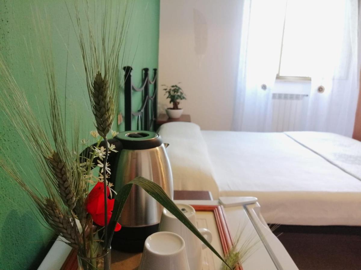 סקאנסאנו Agriturismo Podere Verdicchio מראה חיצוני תמונה